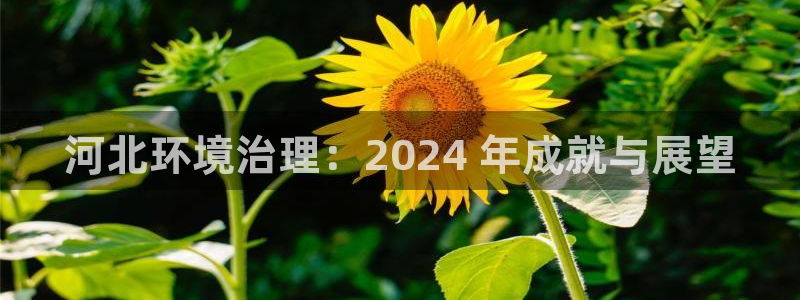 河北环境治理：2024 年成就与展望