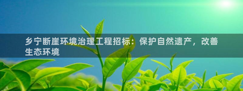 凯发k8官网下载客户端中心